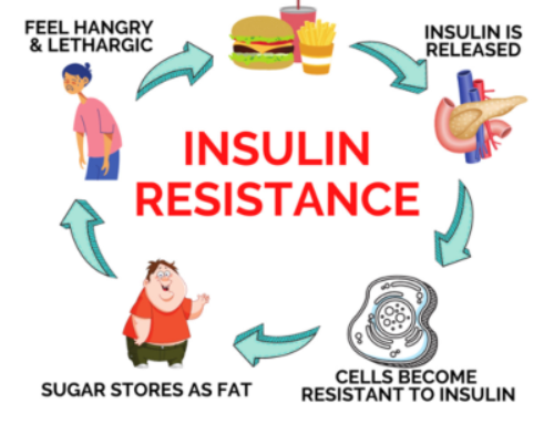 What causes Insulin Resistance?